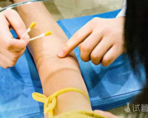 国内公立医院供卵试管价格,孕期怎么吃？孕妈“吃喝指南”来啦！
