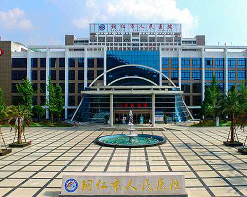 国内代孕哪里最好,已婚女梦见牛追着咬是不是好事答案来了，梦见狮子代表…