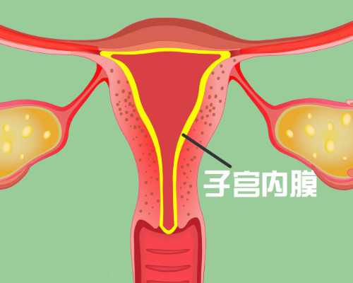 国内代生男孩价格,试管用的*是谁的(32岁未婚女性可以做试管婴儿吗)