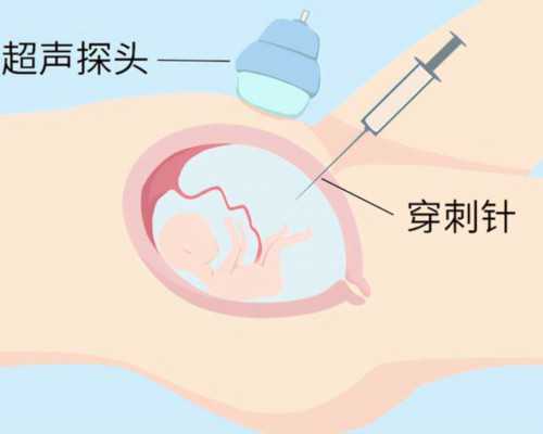 国内代怀公司费用,做试管婴儿什么时候移植好？过来人告诉你